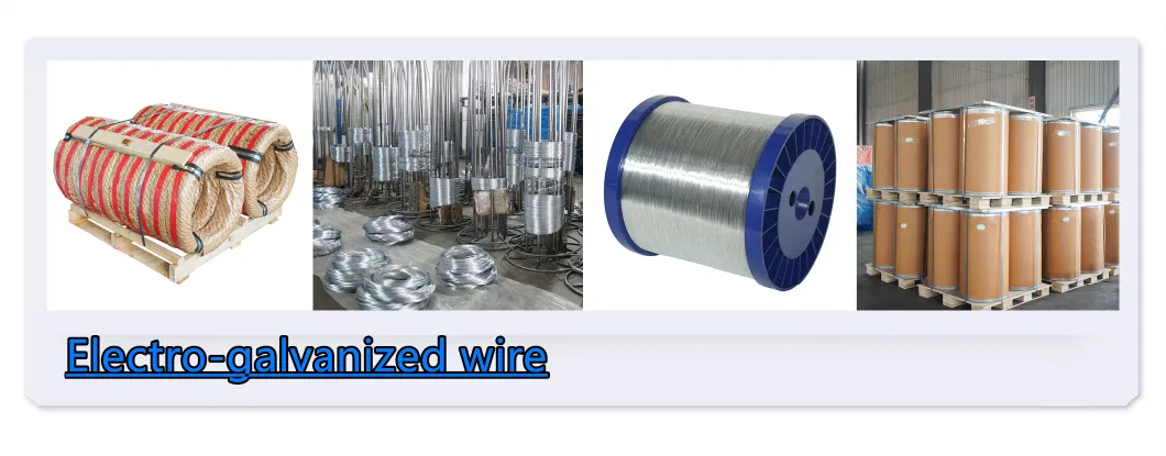 3.2mm Galvanized Low Carbon Steel Wire High Quality Specialized for Export Heavy Zinc Coating