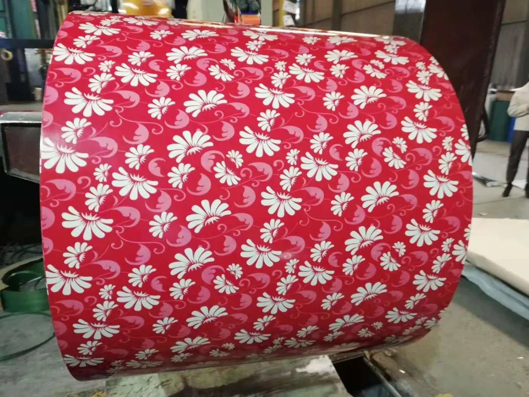 Best Price Printed Color Coated Steel Gi/Gl/PPGL/PPGI