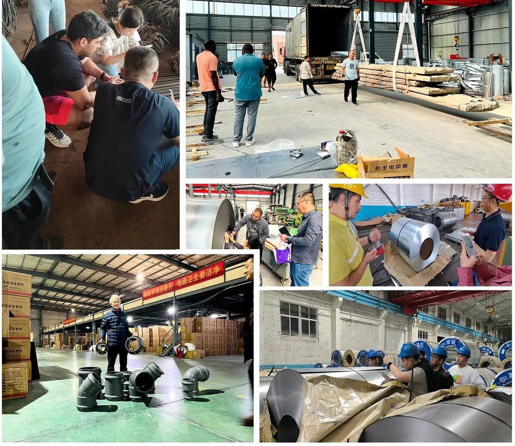 Ral 6023 9002 9016 Ral 8017 Zinc 60g White Wooden PVDF Printed PPGI Coil Cold Rolled PPGI China