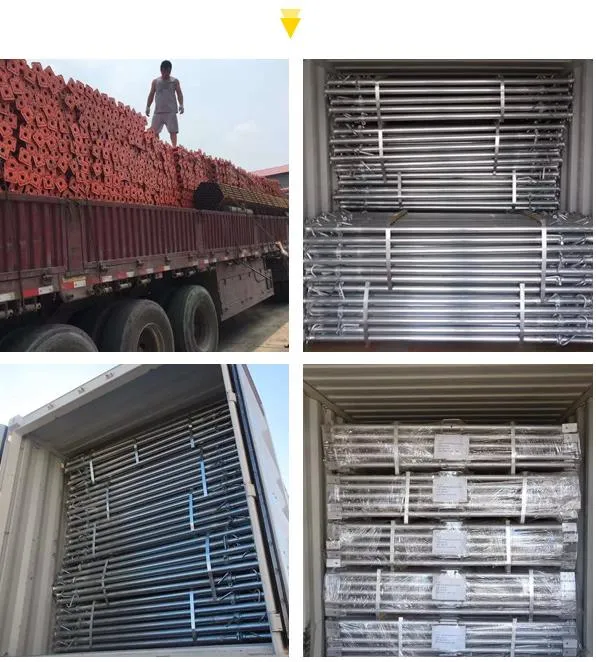 Hot-DIP Galvanized Tray Buckle Feet Galvanized Adjustable 40*2.0 Steel Scaffold