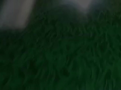 Rollo con revestimiento en color impreso